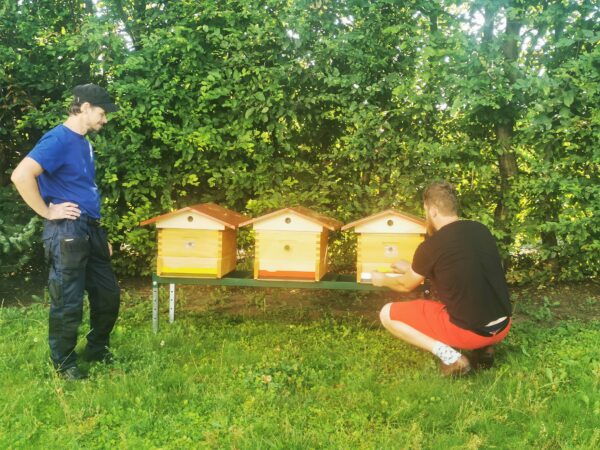 Zapojením do projektu „Zachraňte včely“ upozorňujeme na globální problém